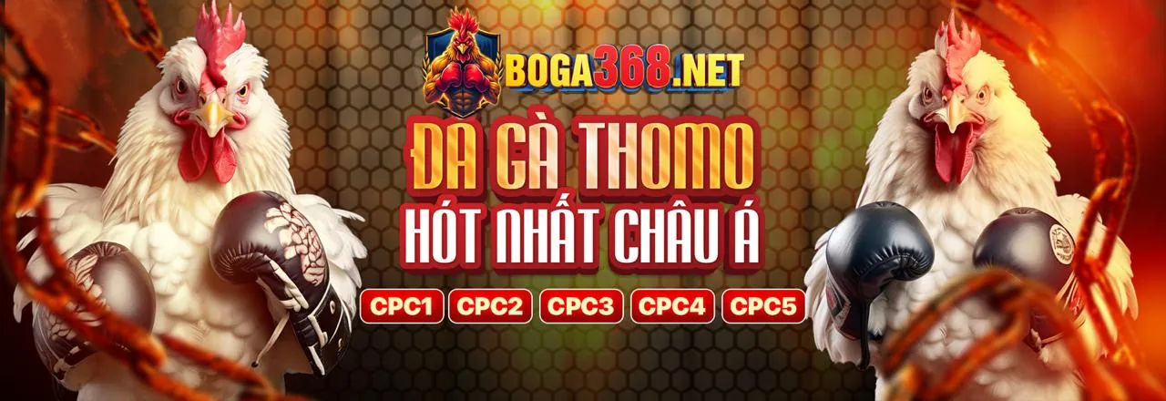 Đá gà trực tuyến trên ứng dụng 18win iOS