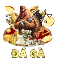 Tối ưu hóa di động